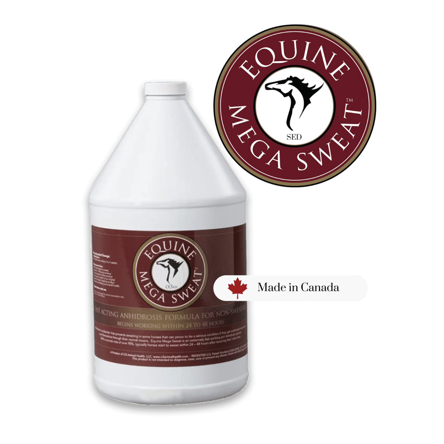 Understanding Equine Anhidrosis Southern Equine Distributing