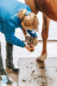 woman cleaning her horse's feet