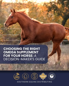 Choosing the right omega supplement for your horse.