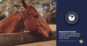 equine ulcer treatment comparison