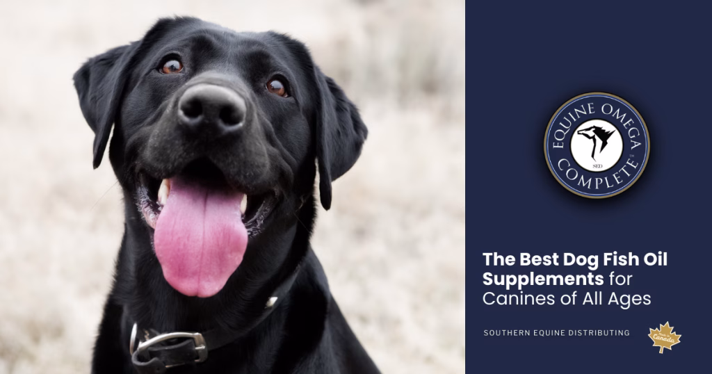 fish oil supplements for dogs