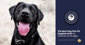 fish oil supplements for dogs