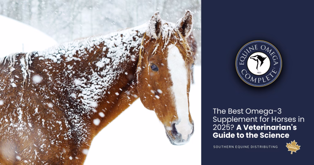 The Best Omega-3 Supplement for Horses 2025