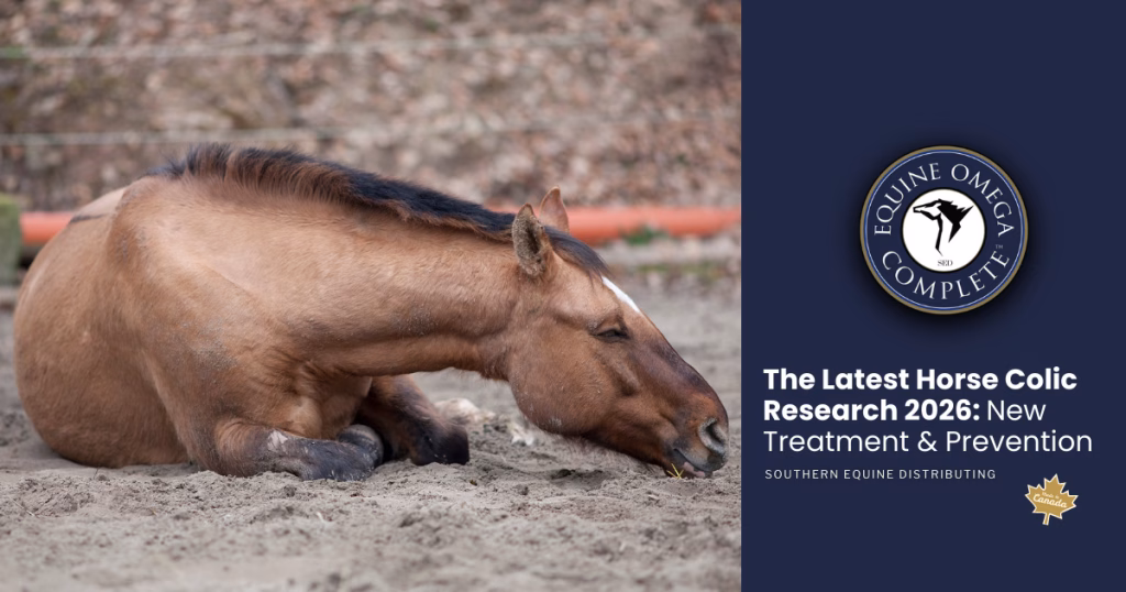 The Latest Horse Colic Research 2026: New Treatment & Prevention
