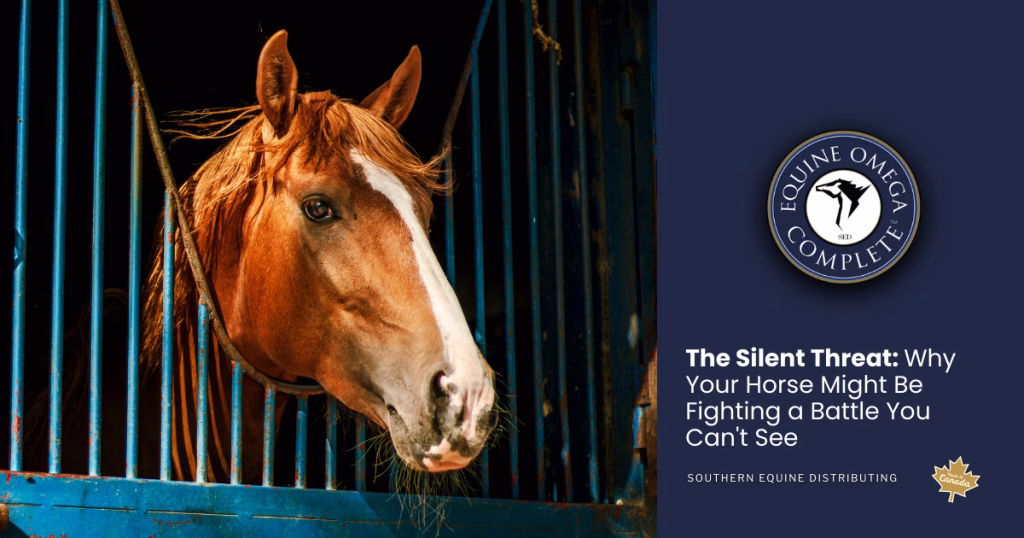 The Silent Threat: Why Your Horse Might Be Fighting a Battle You Can't See