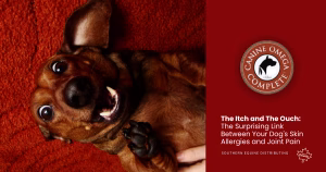 The Itch and The Ouch: The Surprising Link Between Your Dog's Skin Allergies and Joint Pain