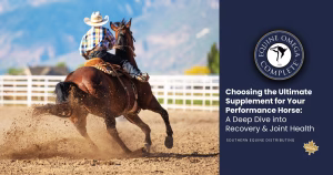 Choosing the Ultimate Supplement for Your Performance Horse