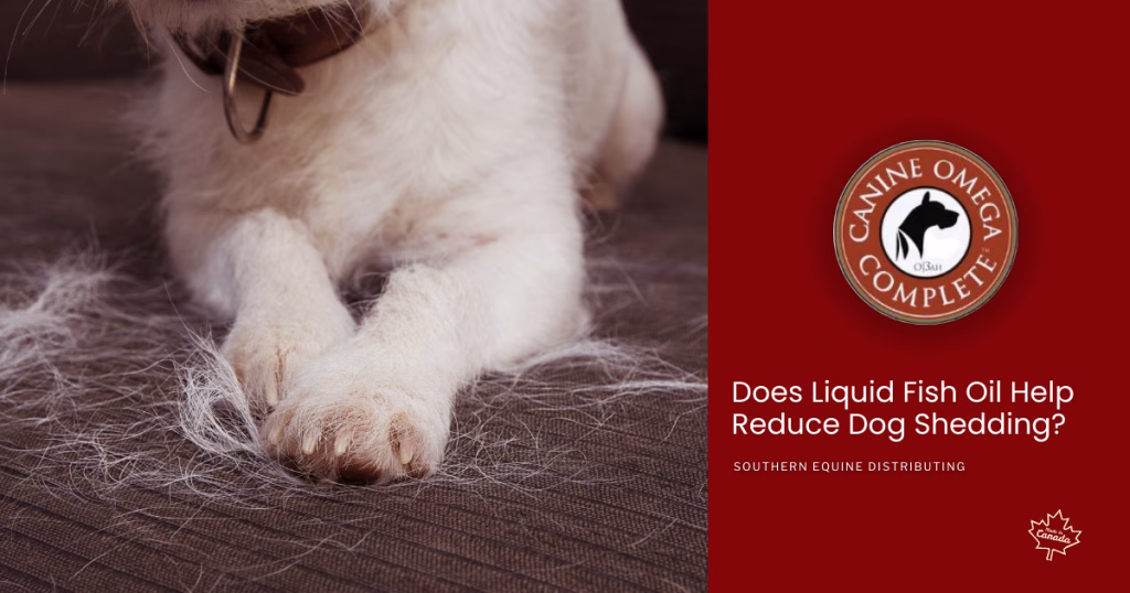Does Liquid Fish Oil Help Reduce Dog Shedding?
