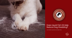 Does Liquid Fish Oil Help Reduce Dog Shedding?