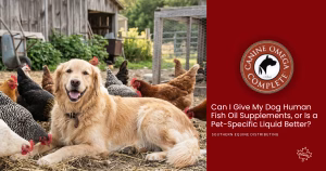 Can I Give my Dog Human Fish Oil Supplements?