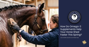 How do Omega 3 Supplements Help your Horse Shed Faster This Spring?