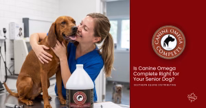 Is Canine Omega Complete Right for your Senior Dog
